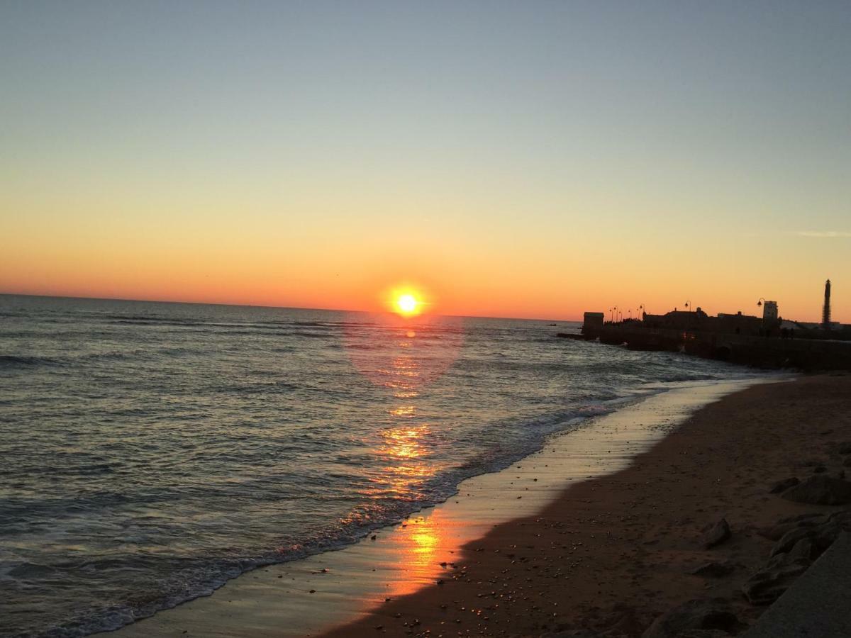 Alicate Playa *