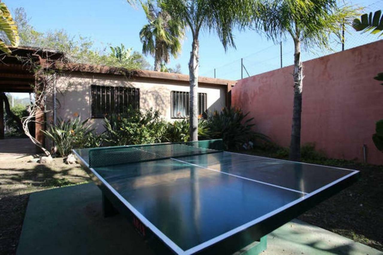 Apartment Alicate Playa